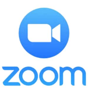 Zoom 100 Pro Bulanan